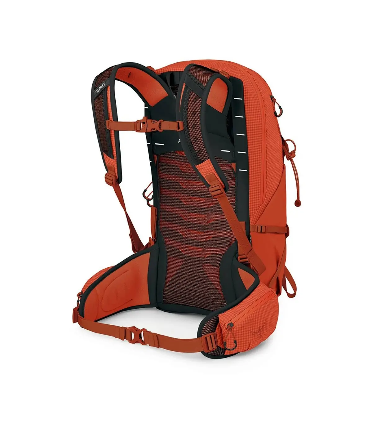 Talon™ Pro 20 (Men's) 2