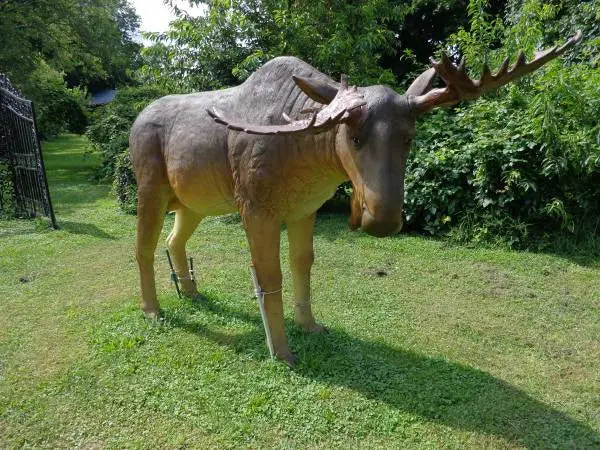 Statue - Life Size Big Moose 1