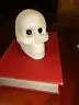 Skull Paperweight Figurine - Skeleton Head Halloween 1