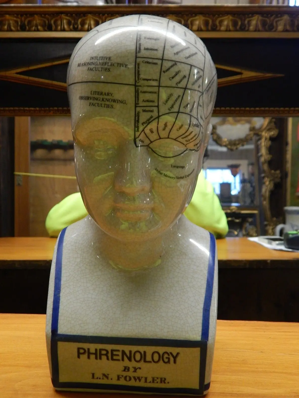 Phrenology 12" Head Bust 1