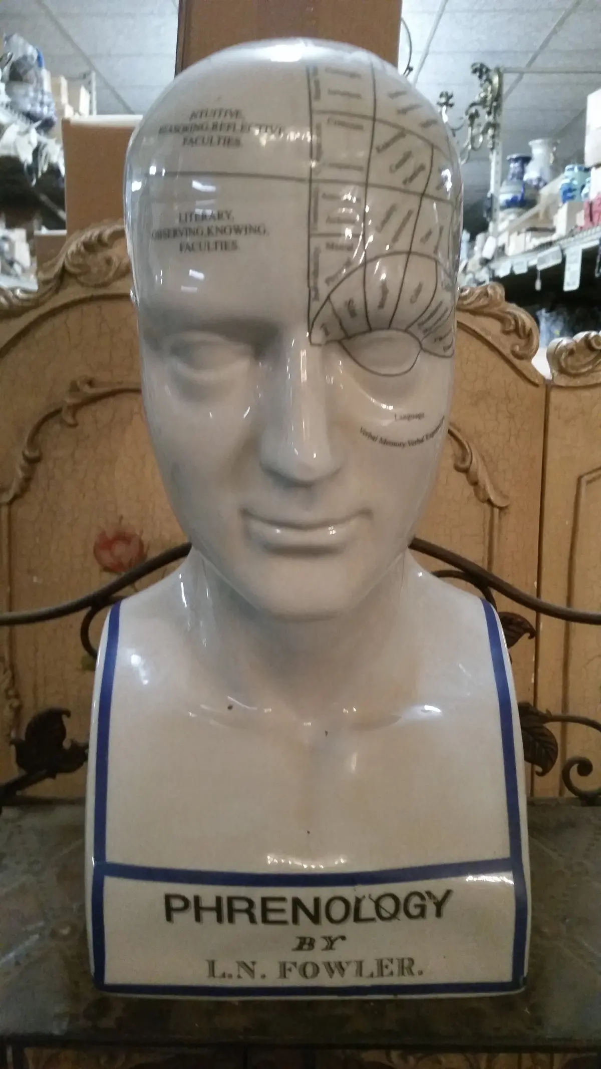 Phrenology 16.5" Head Bust 1