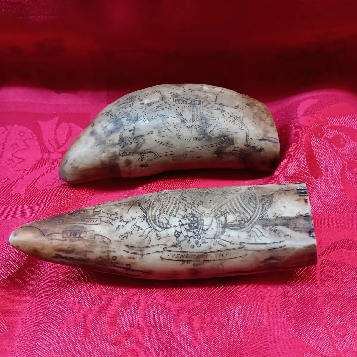 Scrimshaw Resin Whale Teeth Pair 1