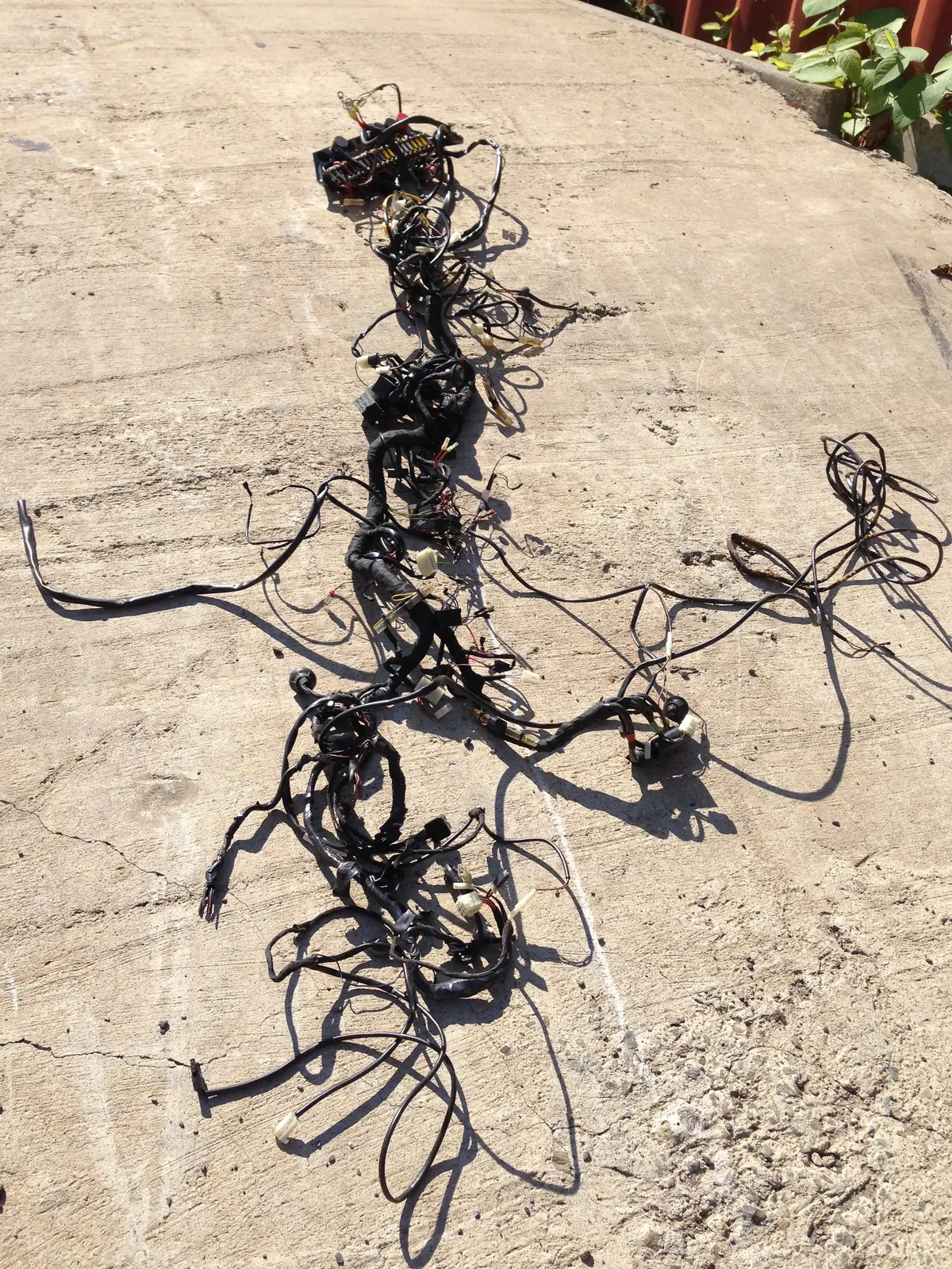 911 Wiring Harness Front, Cuts, No Fuse Box, Possible 1985 - 1