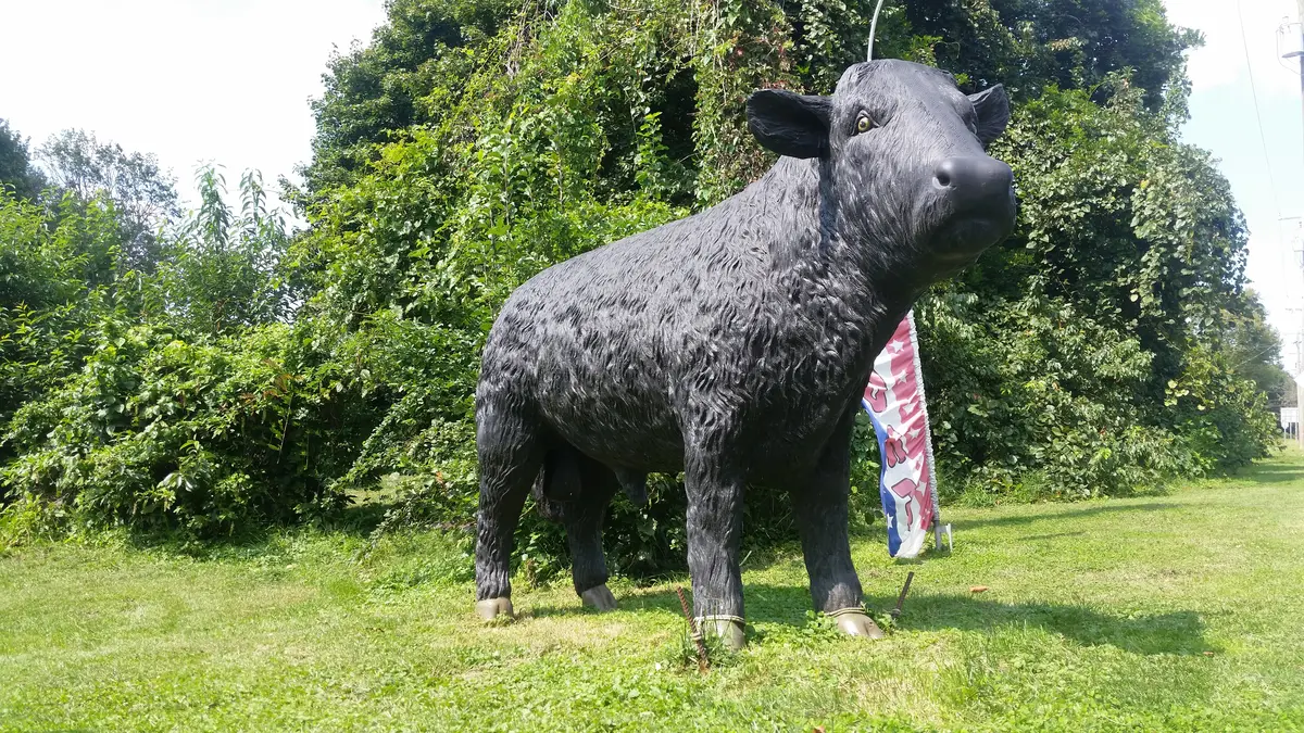 Statue - Life Size Black Angus Cow 1
