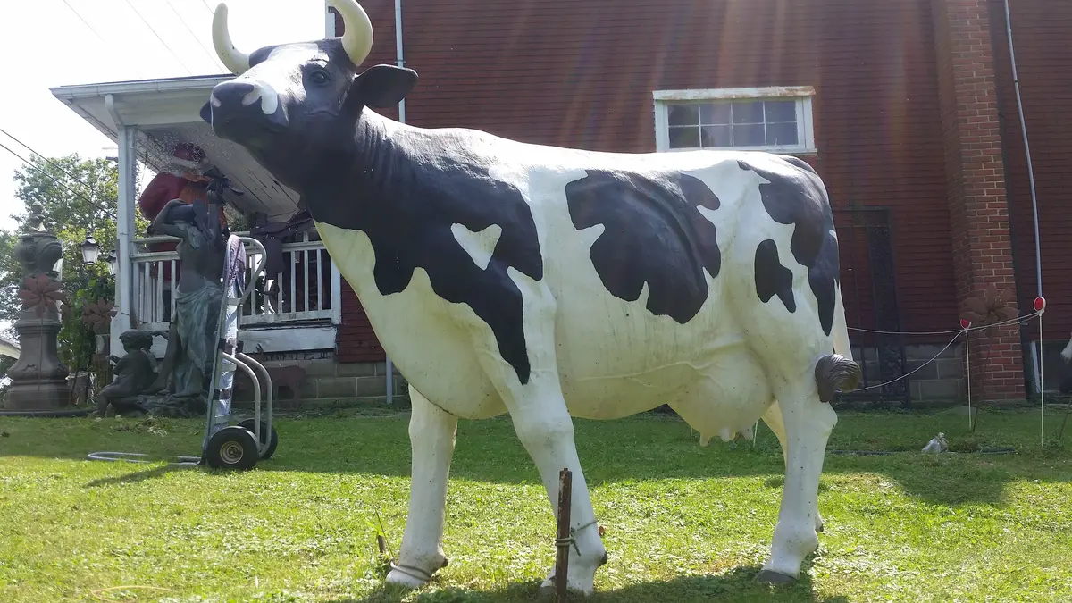 Statue - Life Size Black White Cow 1