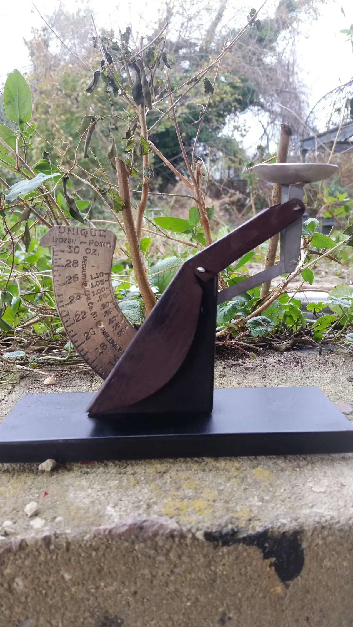 Unique Egg Scale 1