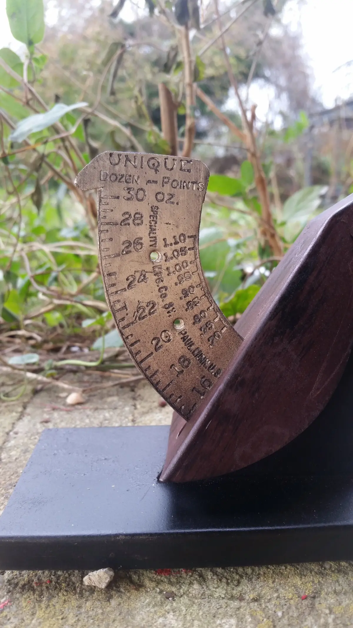 Unique Egg Scale 2