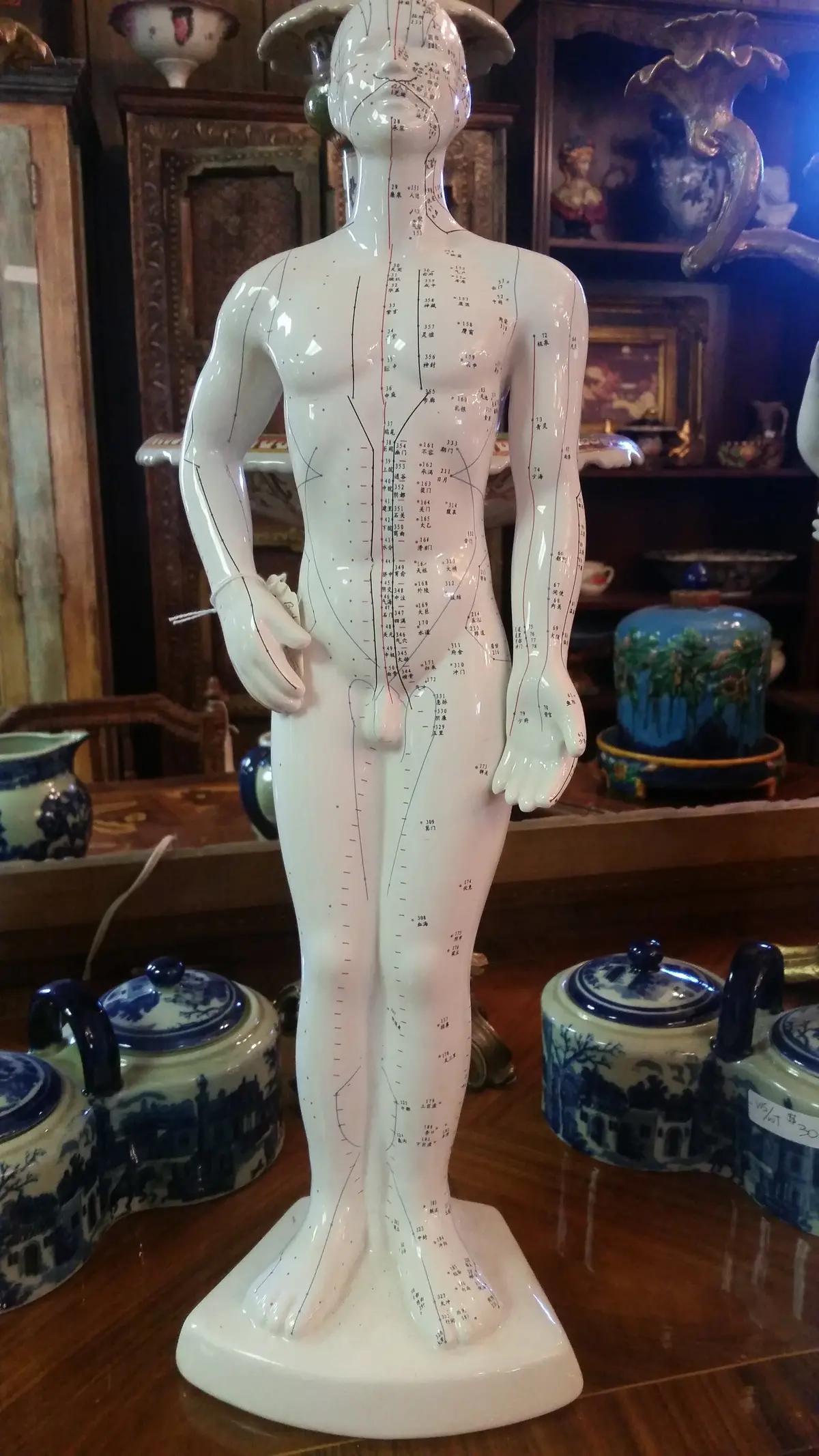 Anatomy   Acupuncture Human Structure 1