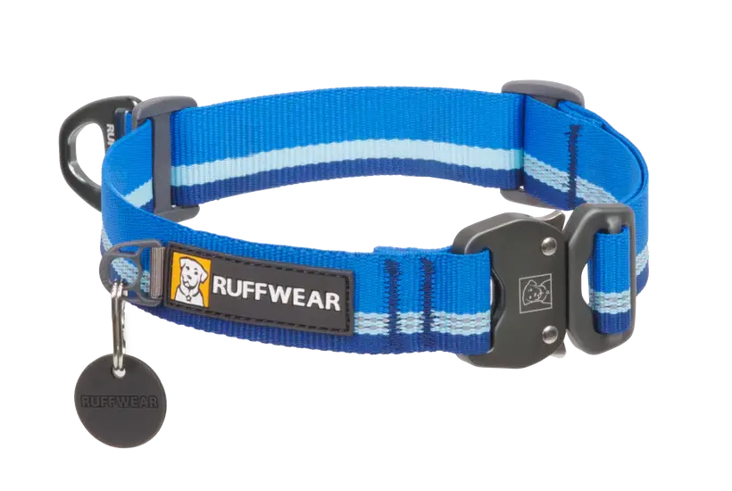 Top Rope™ Metal Buckle Dog Collar 1