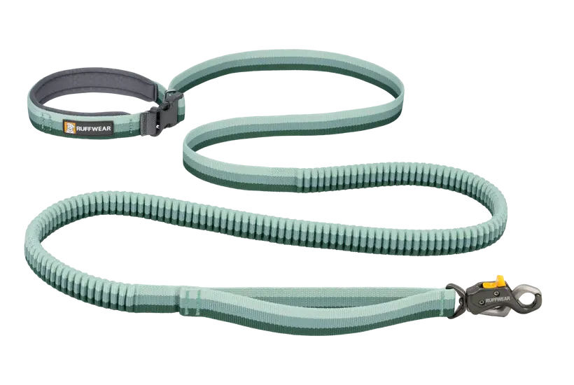 Roamer Lock™ Leash 1