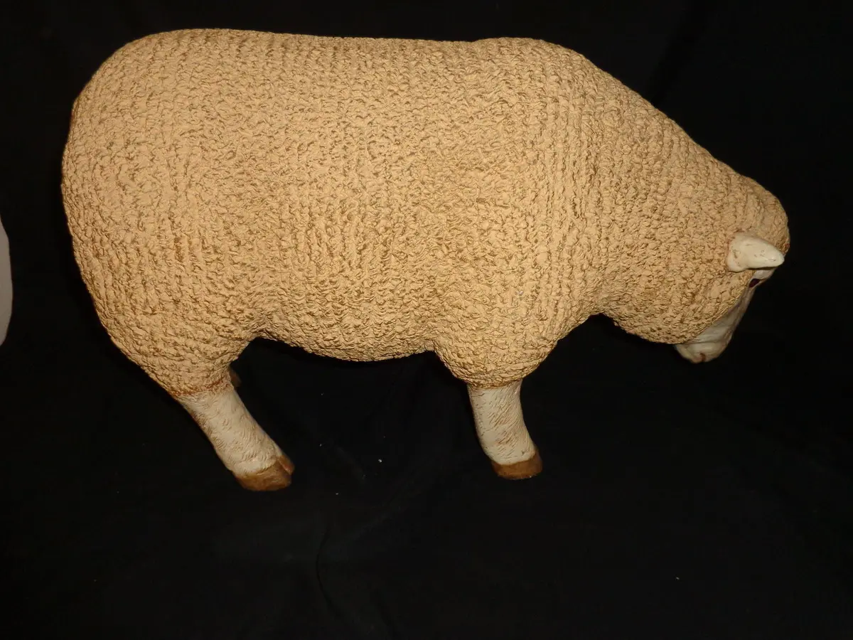 Sheep With Head Down 2