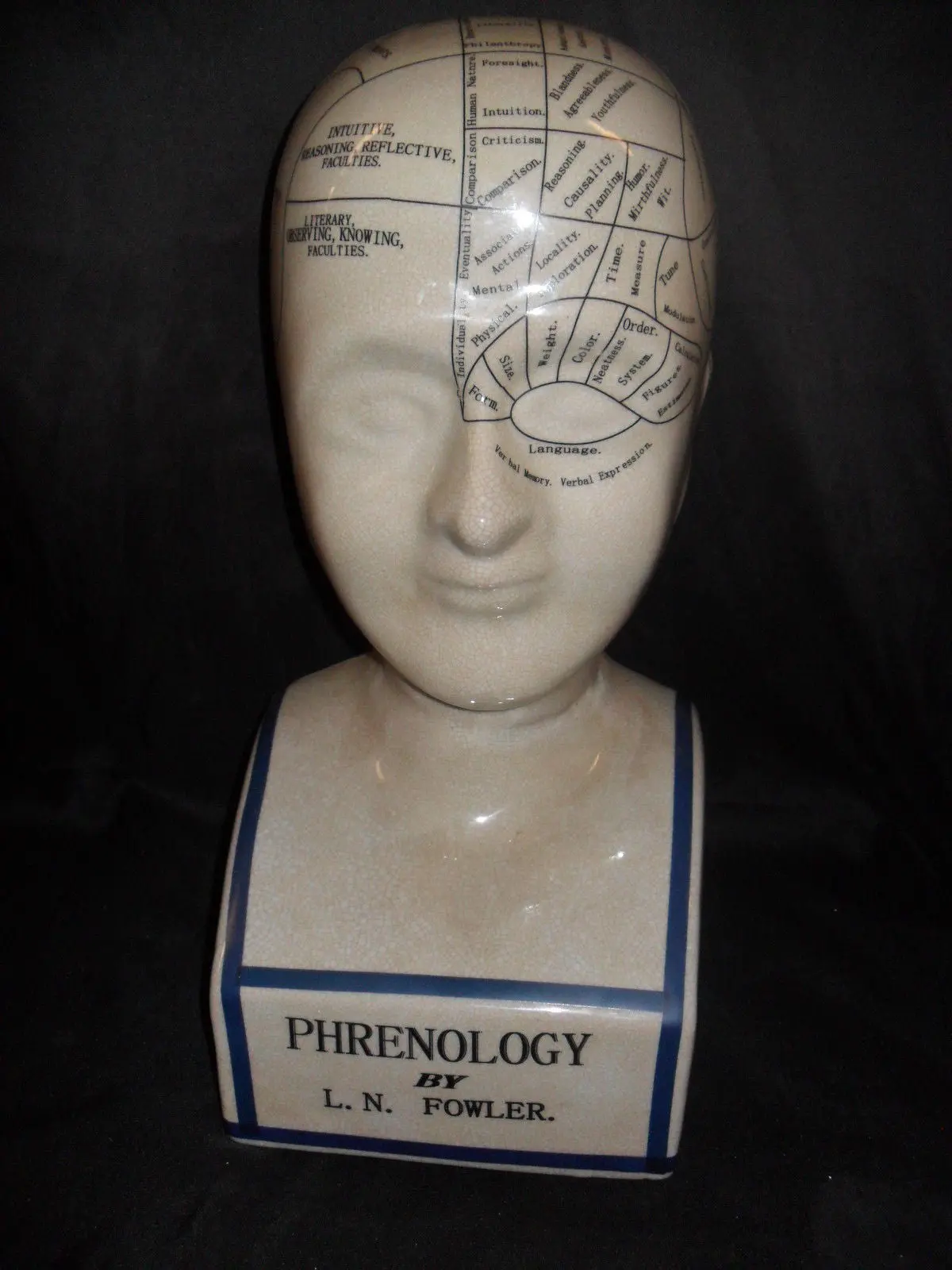 Phrenology 16" Head Bust 1