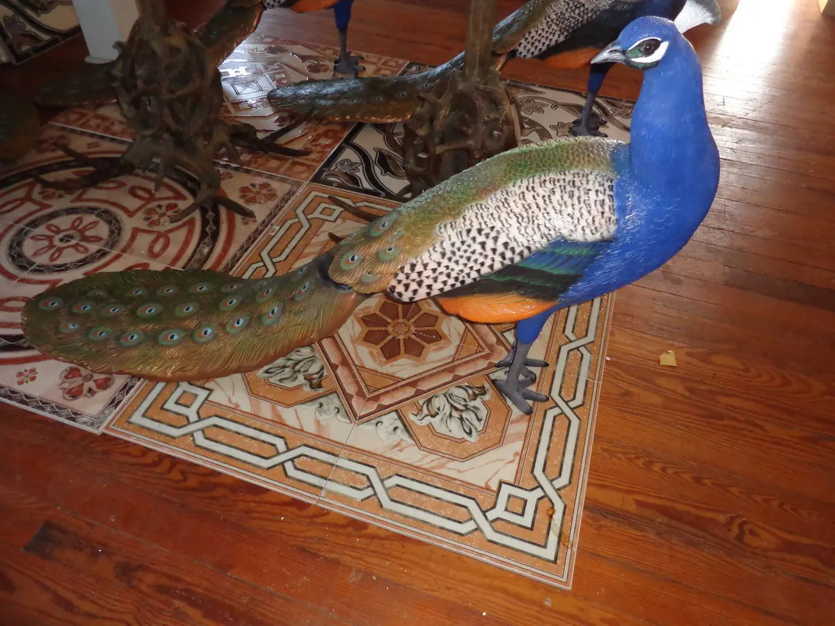 Statue - Life Size Peacock 1