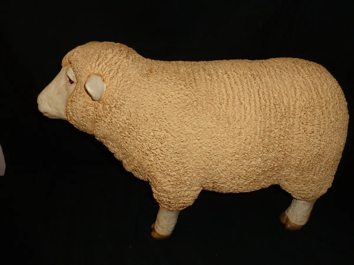 Life Size Sheep With Head Up 1