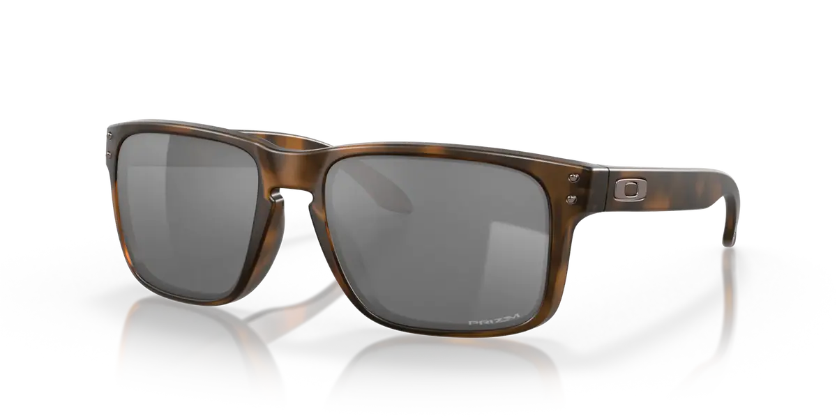 Holbrook™ - Matte Brown Tortoise W/ Prizm Black 1