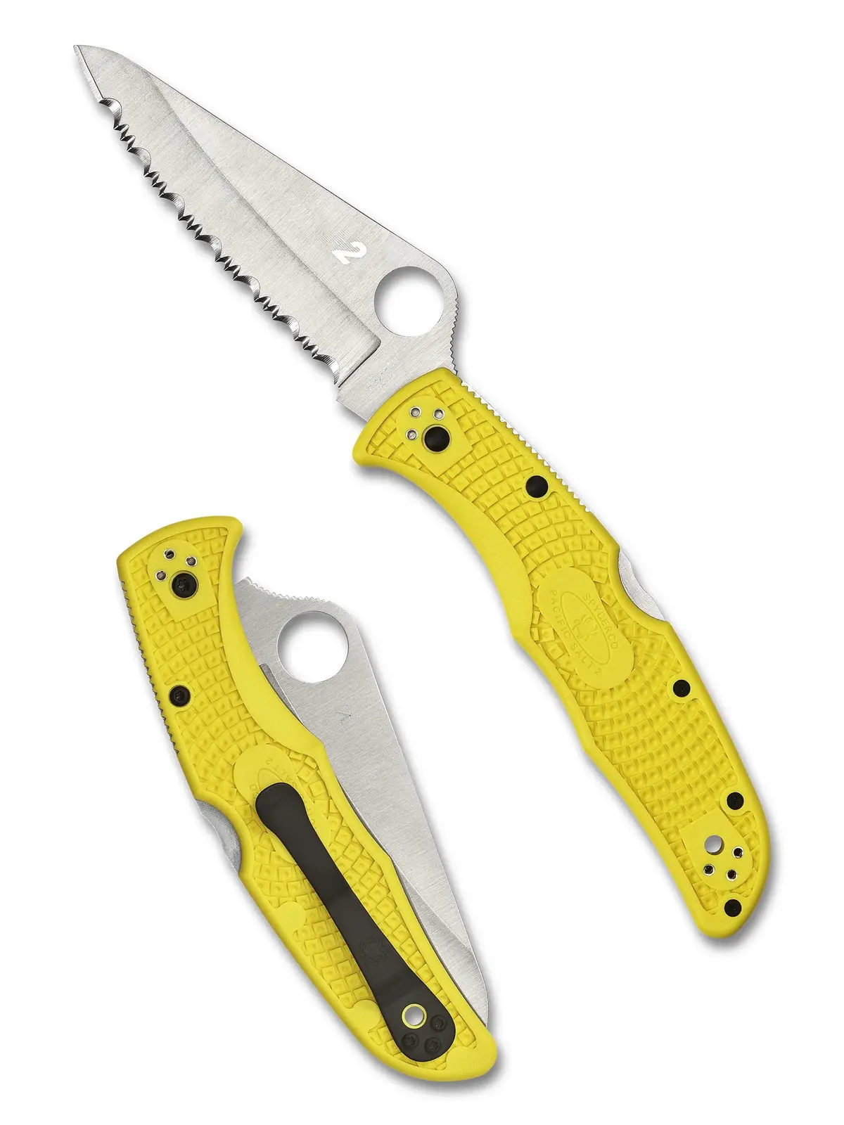 Pacific Salt™ 2 Yellow Frn - Spyderedge 1
