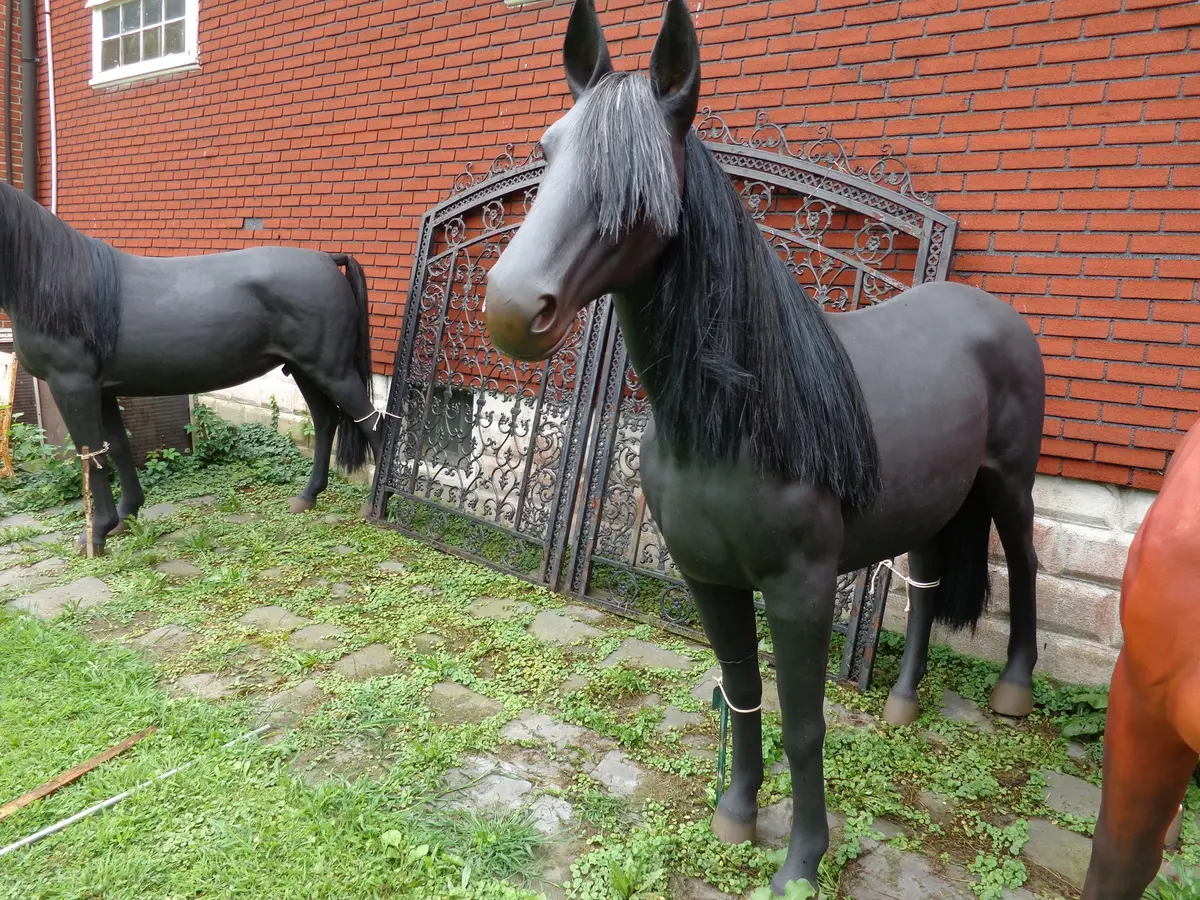 Life Size Black Stallion 1