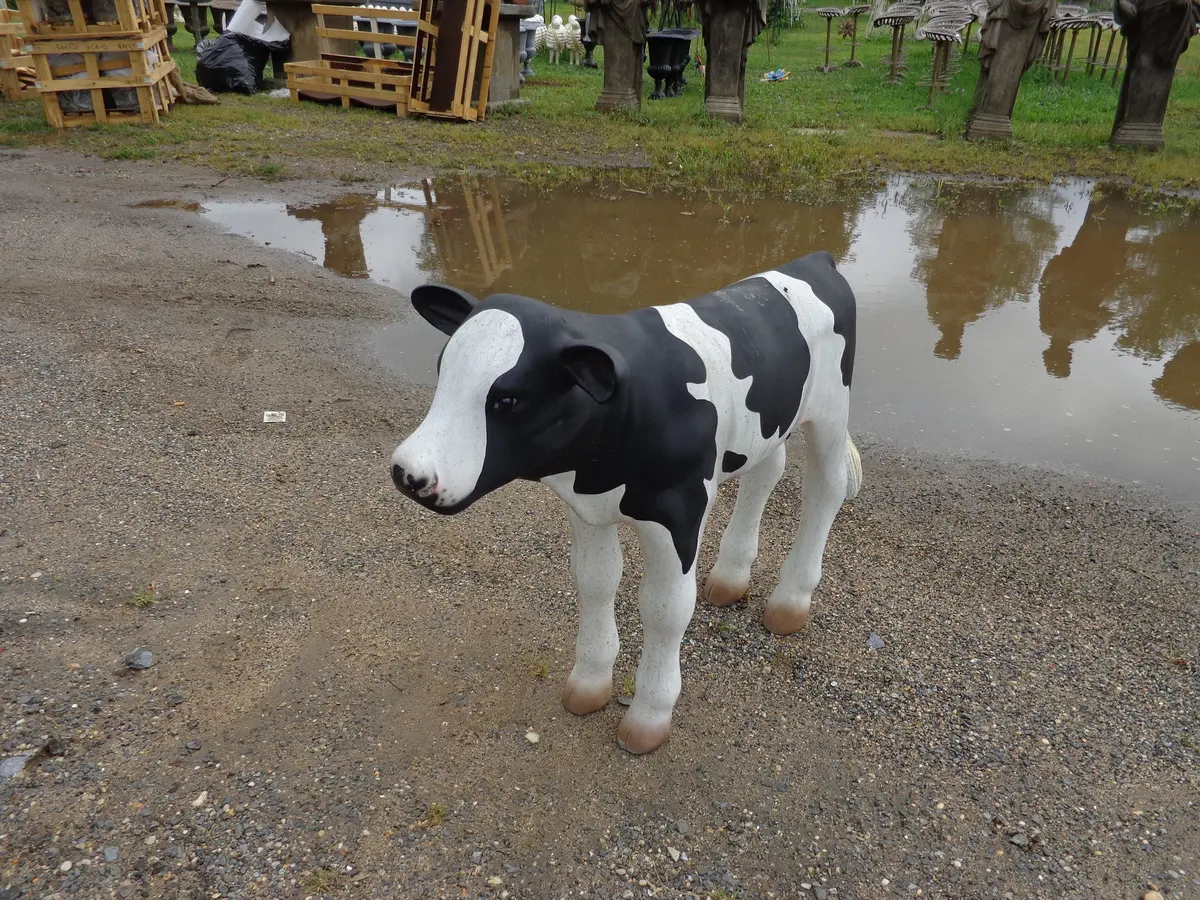 Calf Life Size Small 1