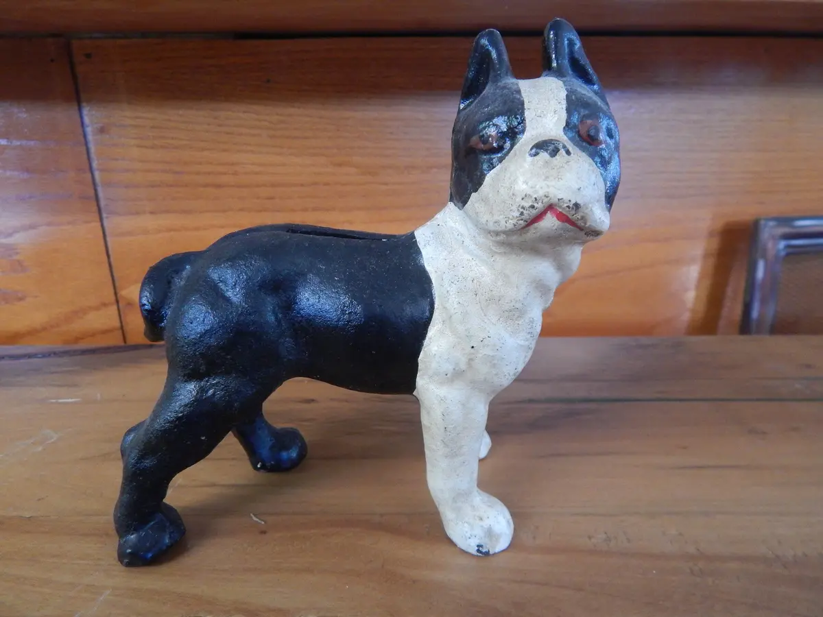 Cast Iron Bank - Small Boston Terrier 1