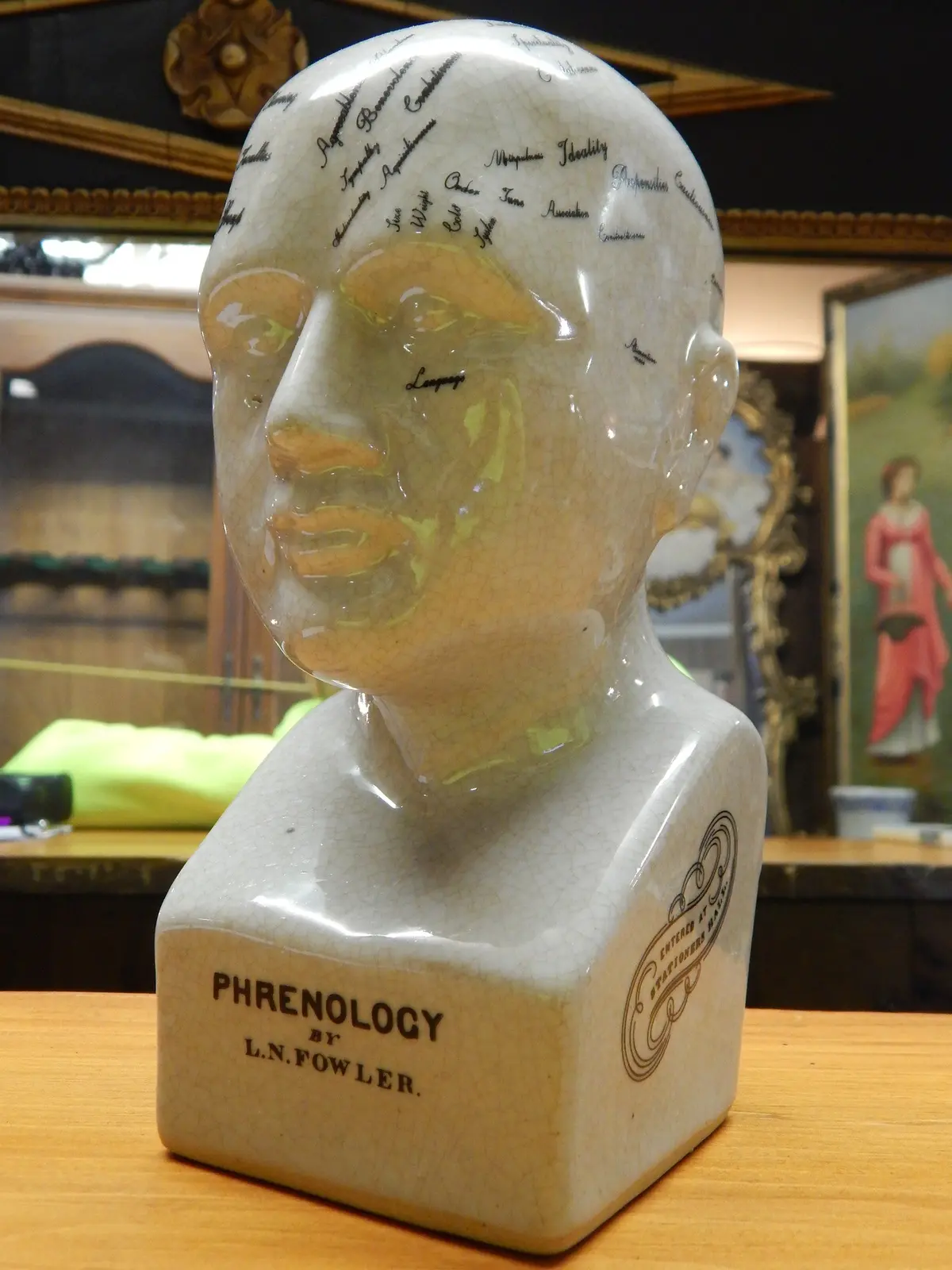 Phrenology 8" Head Bust 1