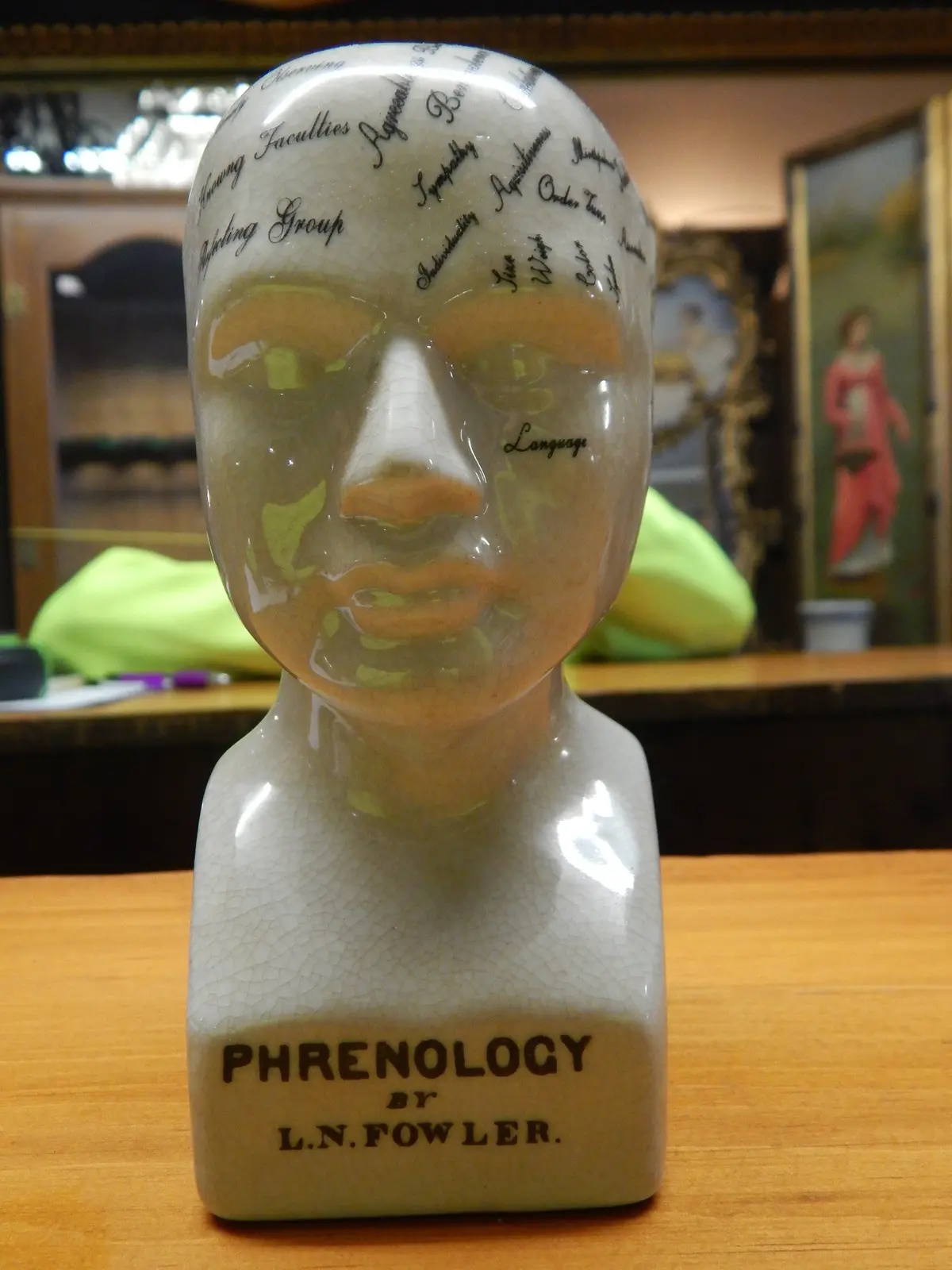 Phrenology 6" Head Bust 1