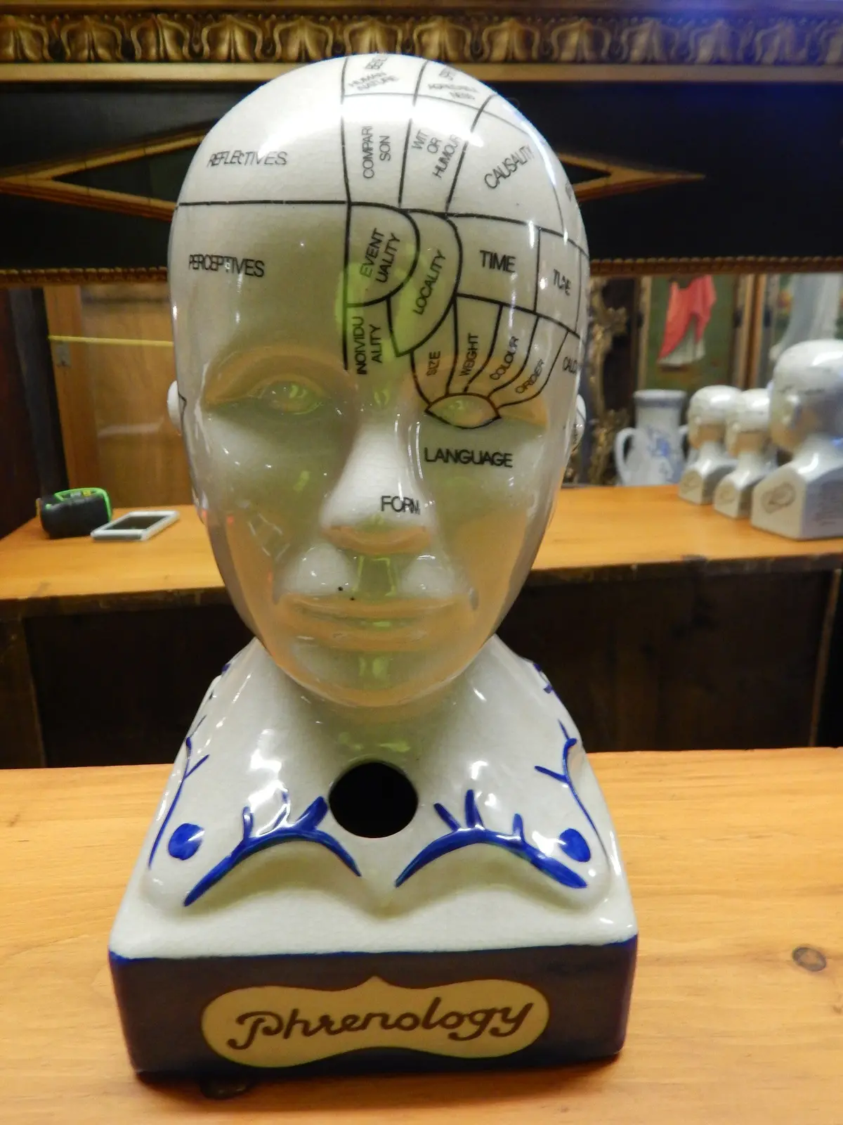 Phrenology 13" Head Burst 1