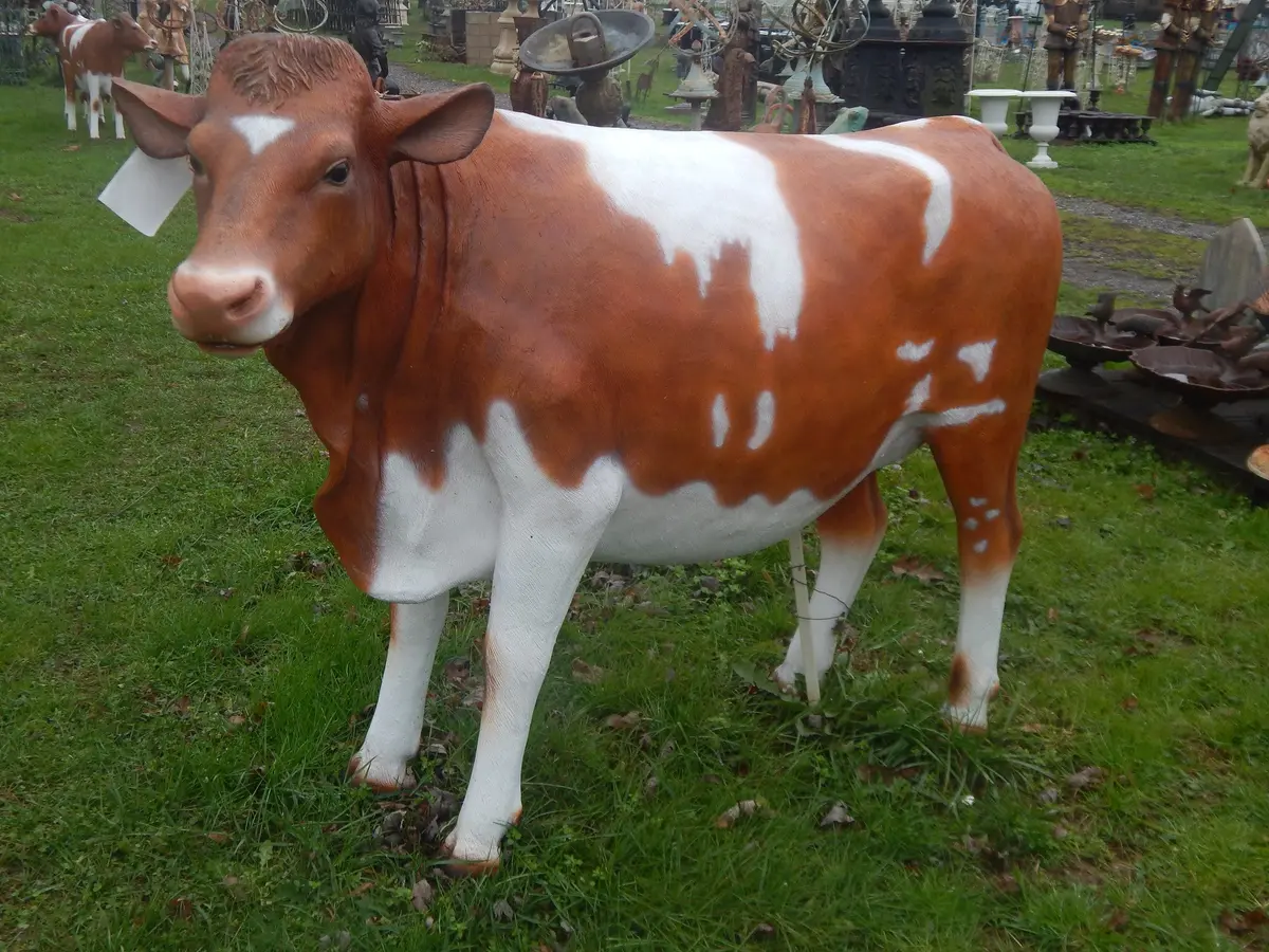 Guernsey Cow Life Size 1