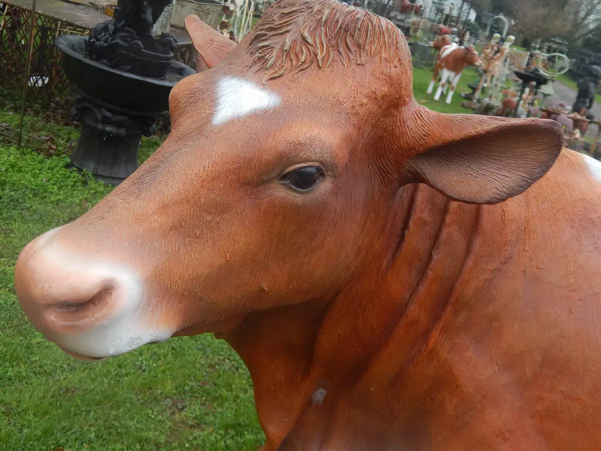 Guernsey Cow Life Size 2