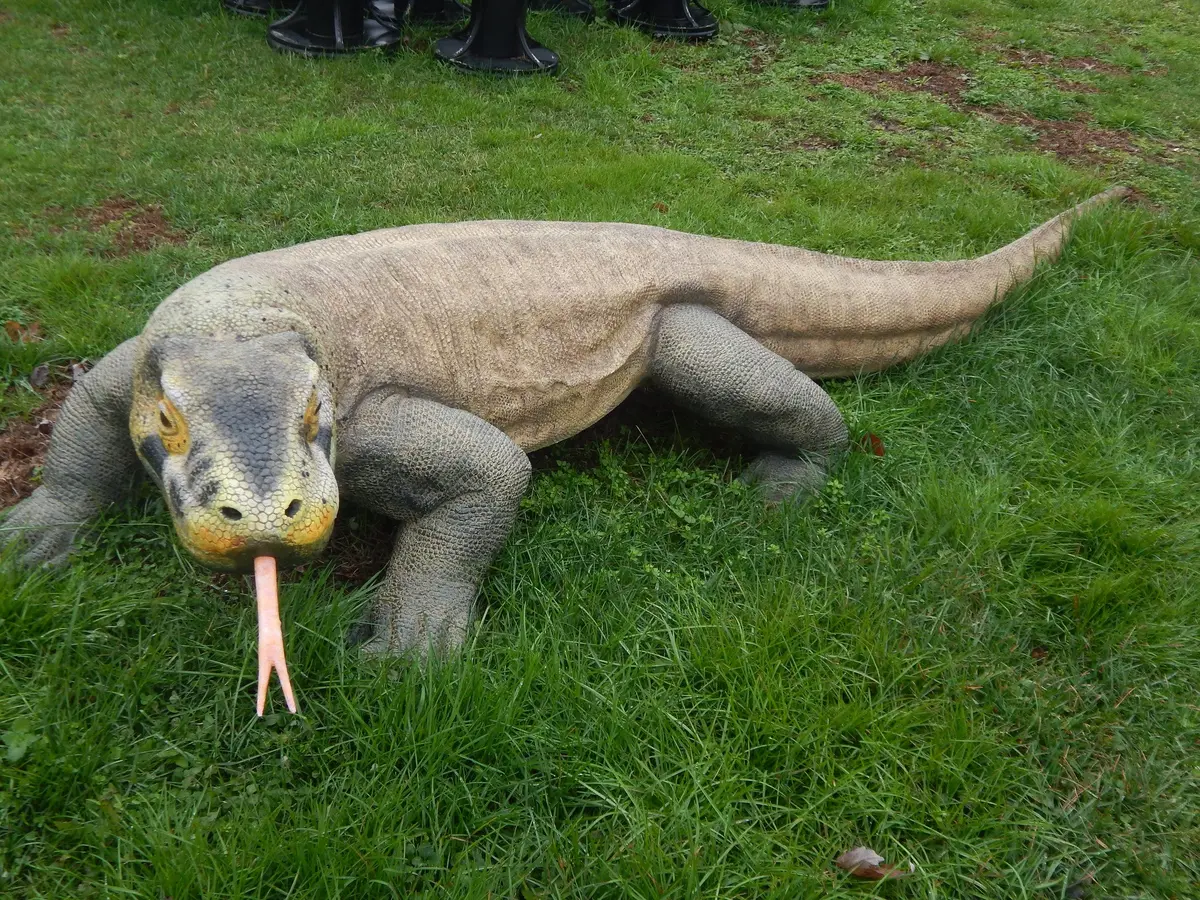 Statue - Life Size Reptile Komodo Dragon 1