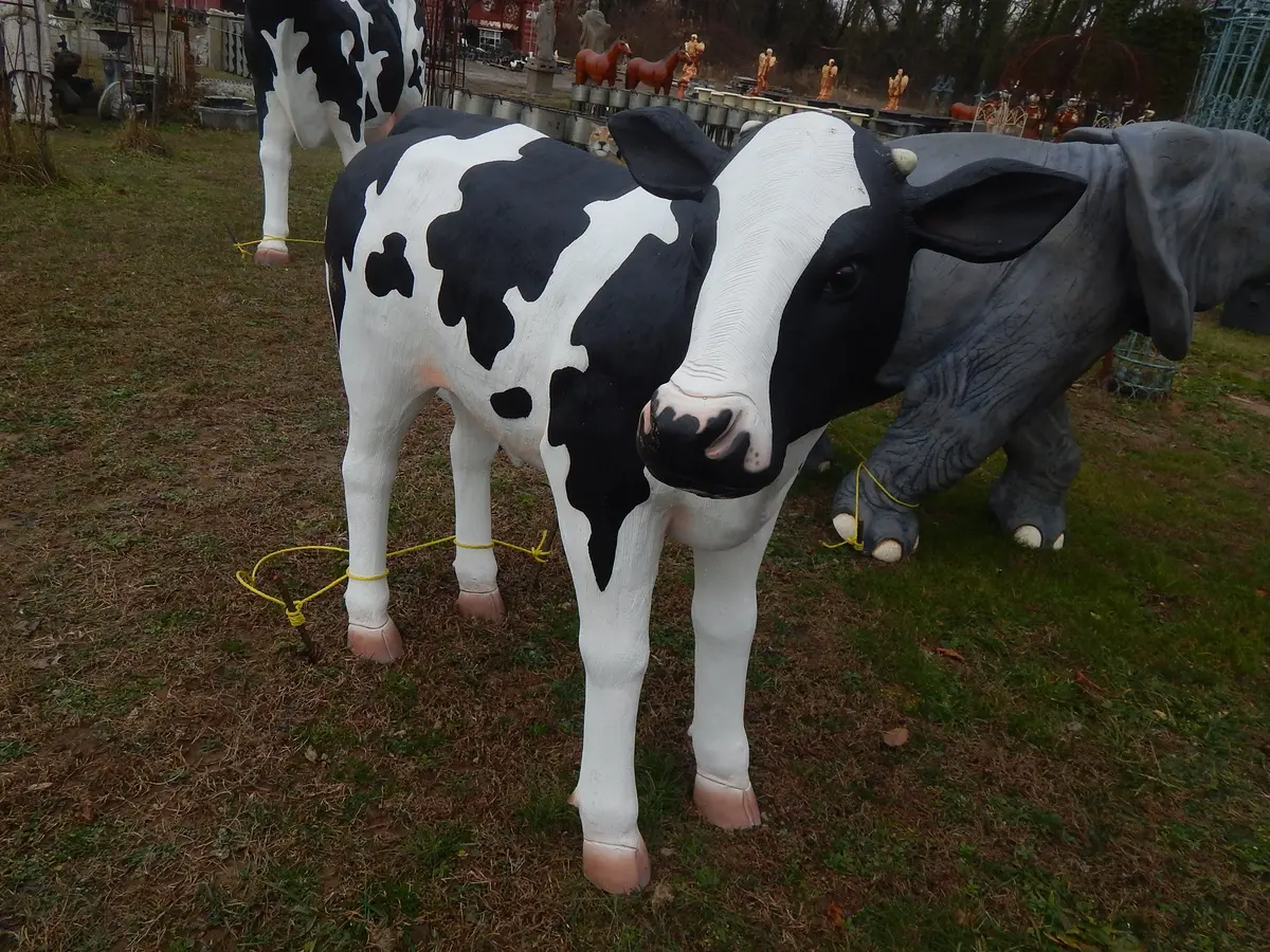 Calf Life Size Medium 1