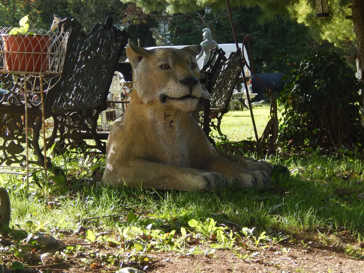 Statue - Life Size Lioness 1
