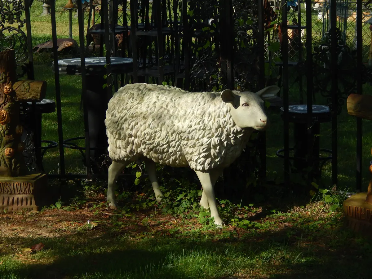 Statue - Life Size White Sheep 1