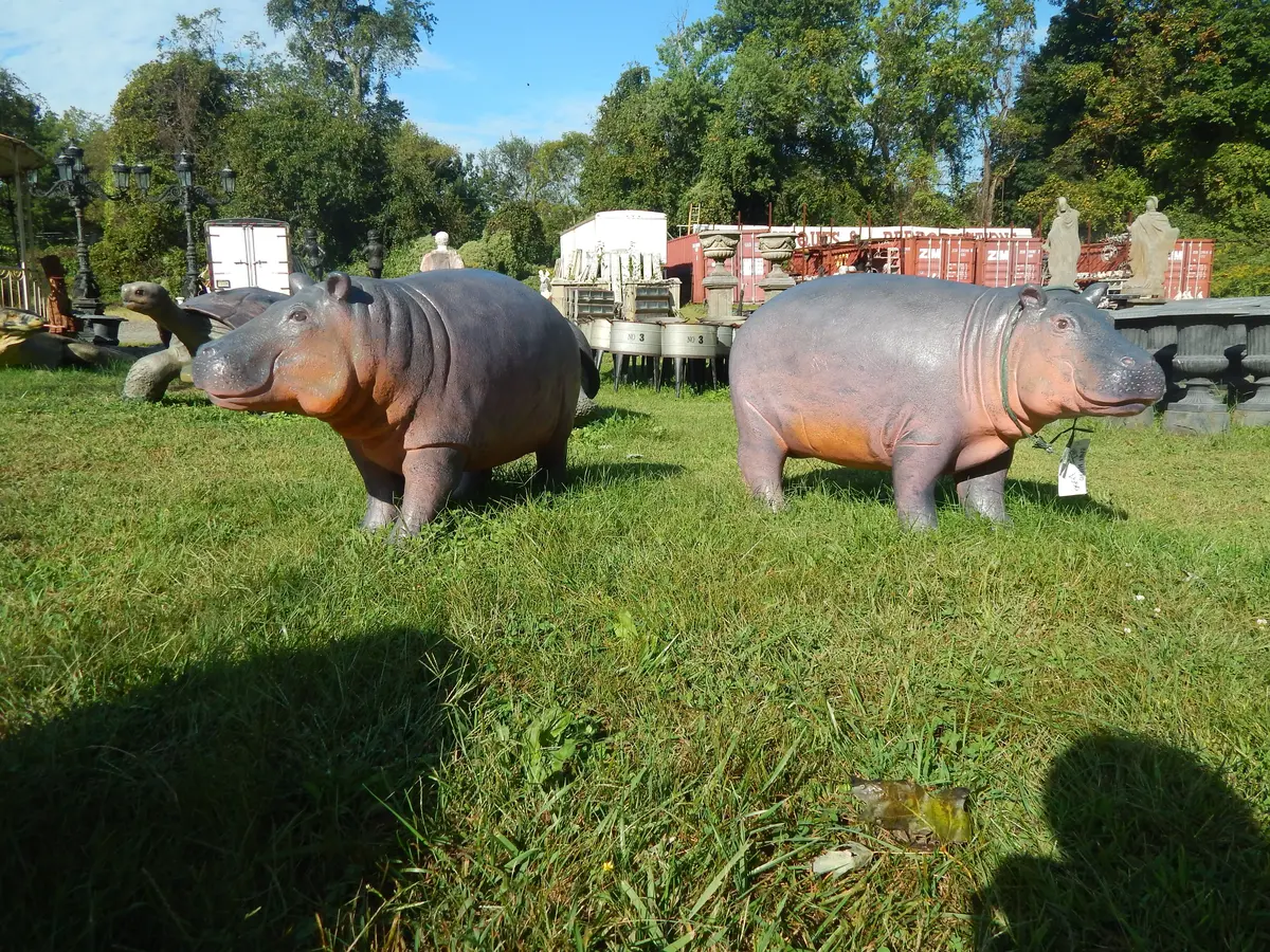 Statue - Life Size Small Hippo 1