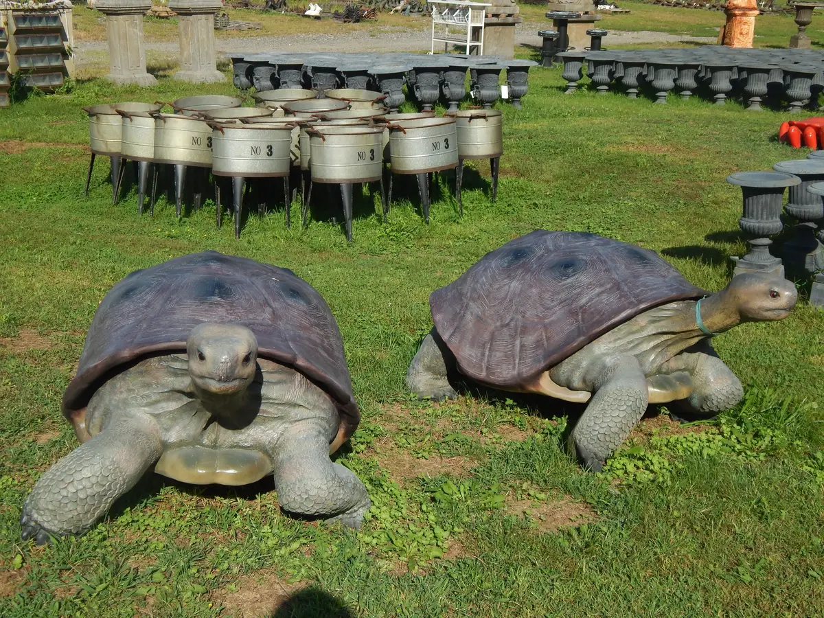 Statue - Life Size Realistic Animal Galapagos Tortoise 1