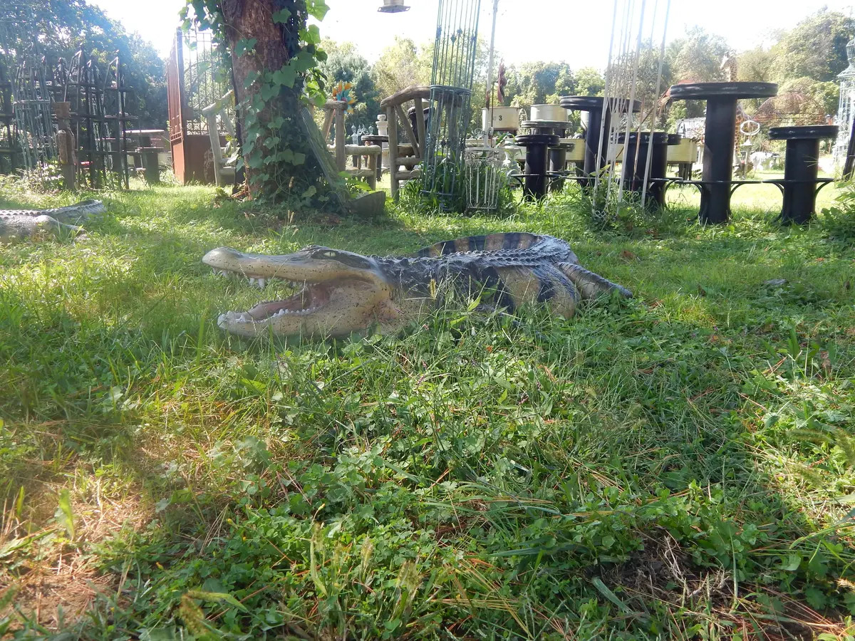 Statue - Life Size 8 Ft American  Realistic Alligator 1