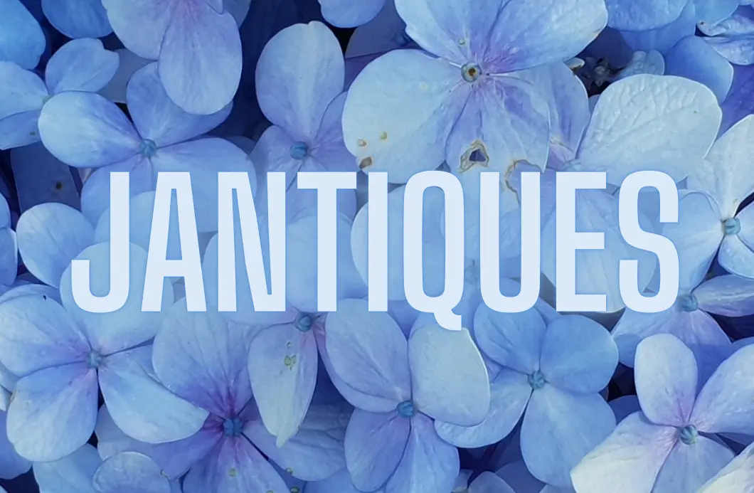 Floral Blue Jantiques Gift Card 1