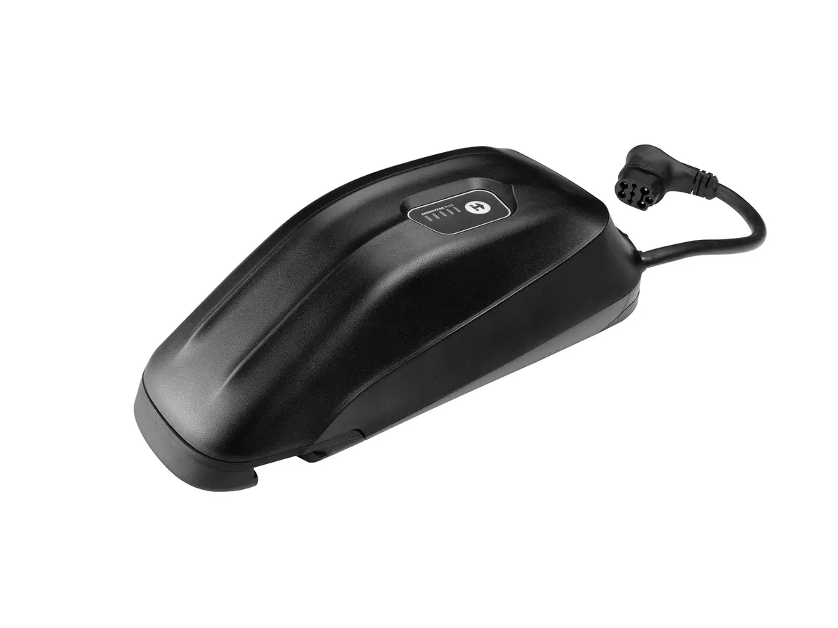 Energypak Plus 250 Battery 1