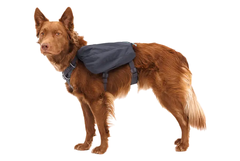 Front Range™ Day Pack 2