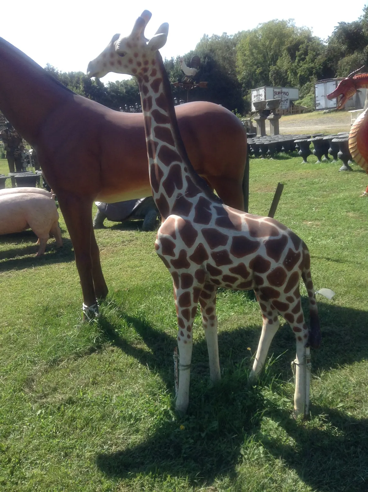 Statue - Life Size Baby Giraffe 1
