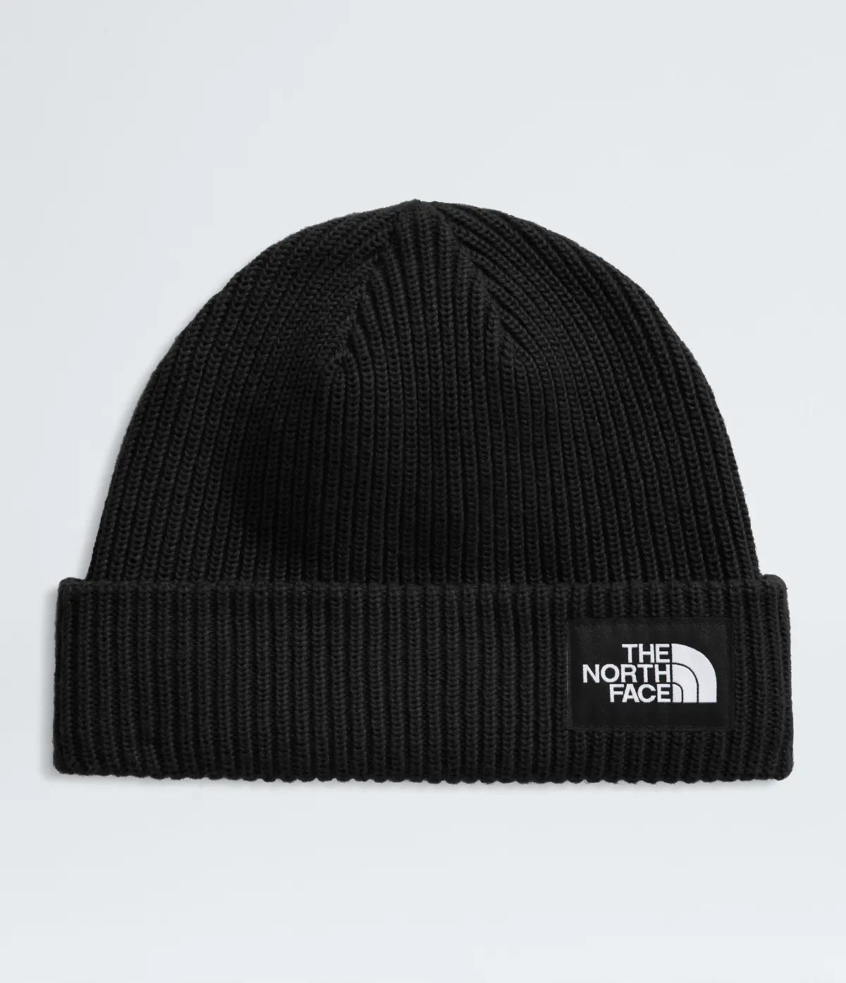Salty Lined Beanie - Nf0a8cgz 1
