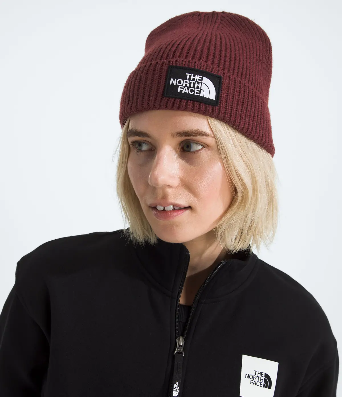 Tnf Logo Box Cuffed Beanie - Nf0a8che 6