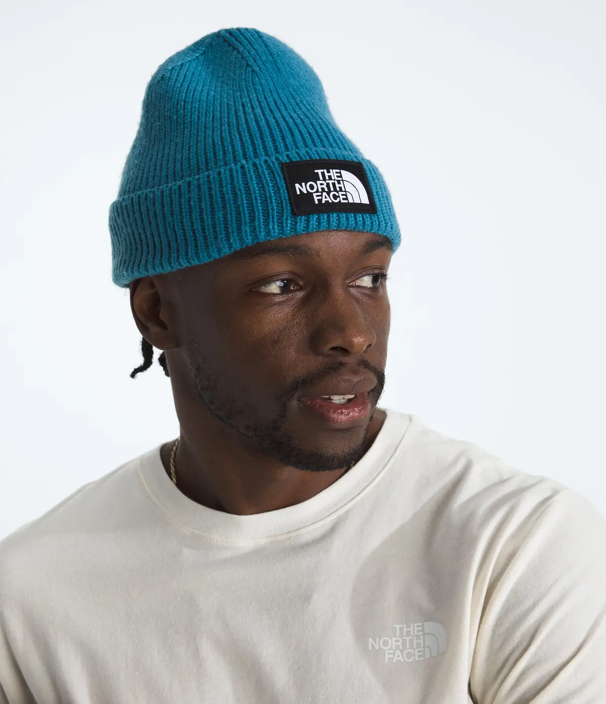 Tnf Logo Box Cuffed Beanie - Nf0a8che 4