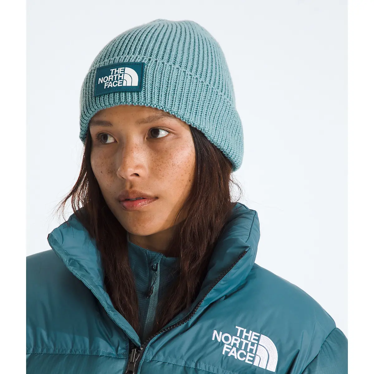 Tnf Logo Box Cuffed Beanie - Nf0a8che 12