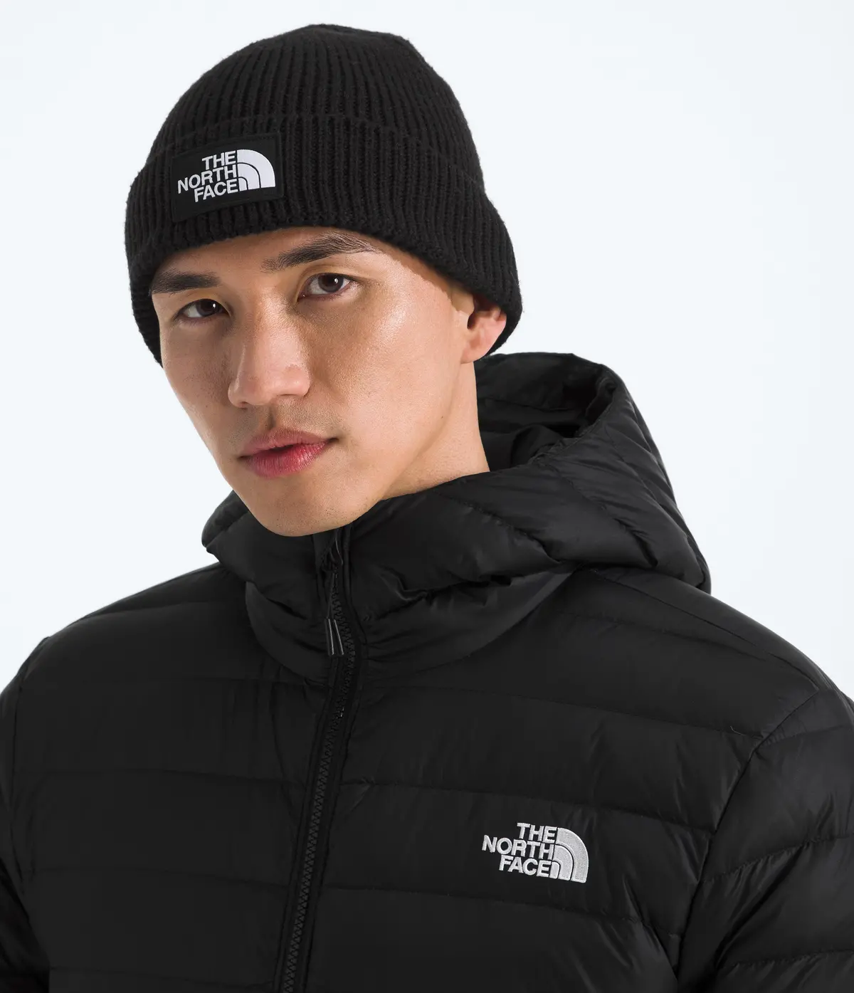 Tnf Logo Box Cuffed Beanie - Nf0a8che 8