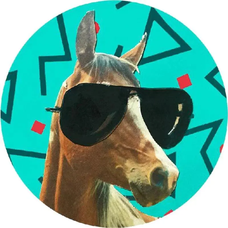 Cool Pony Patch 1