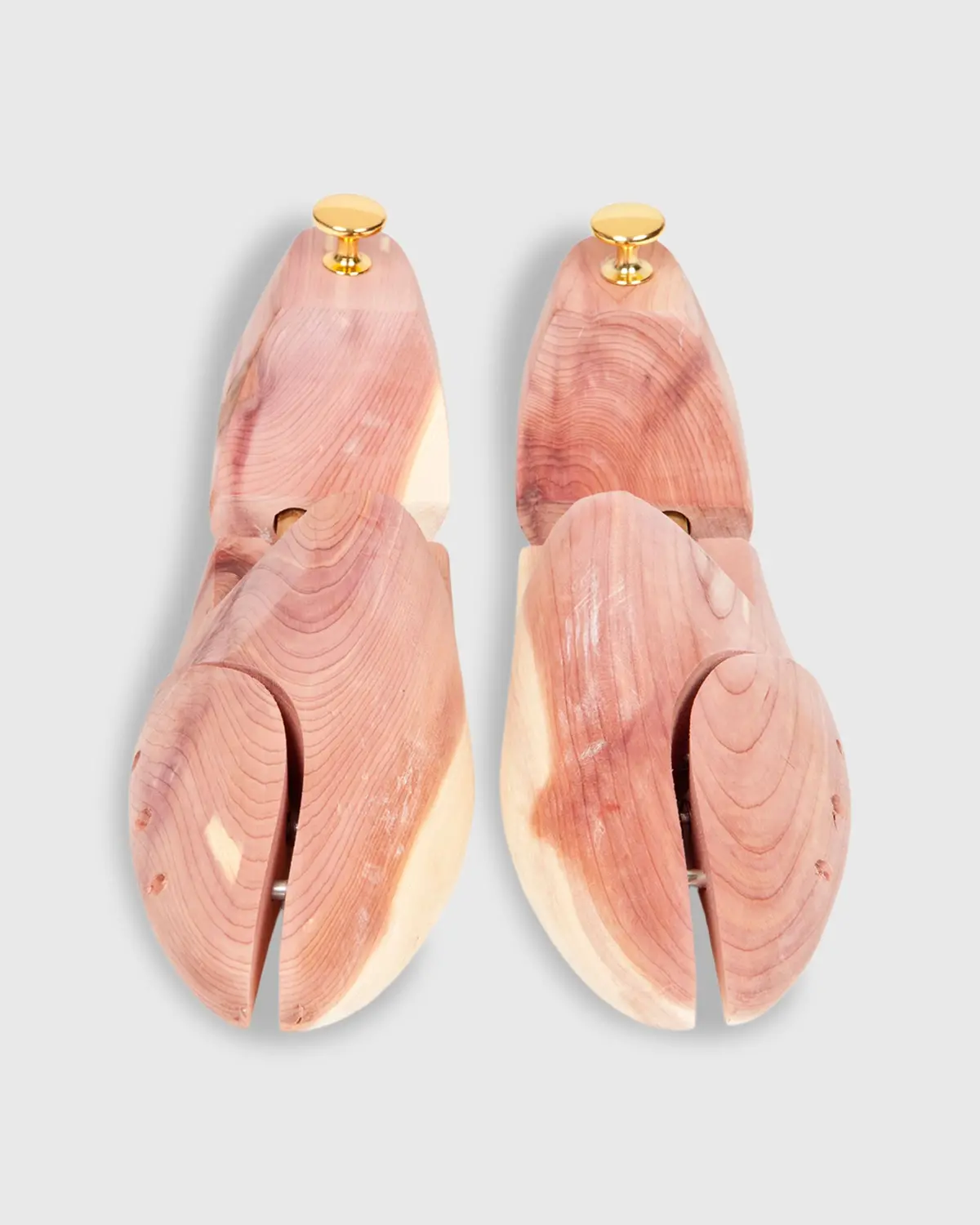 Cedar Shoe Tree 1