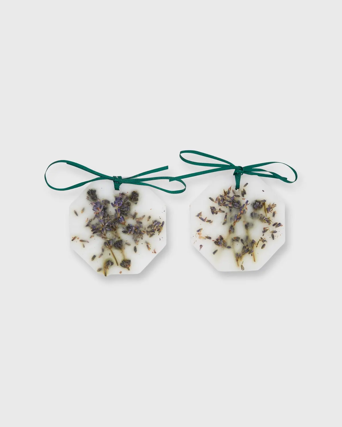 Botanical Palets In Lavender 1