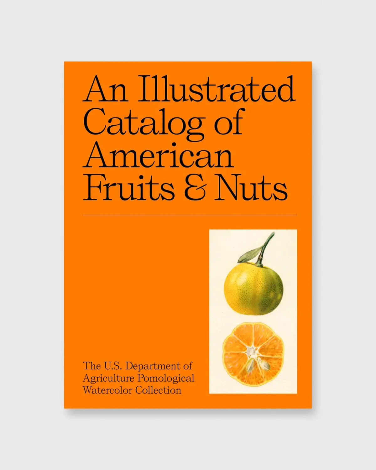 An Illustrated Catalog Of American Fruits & Nuts 1