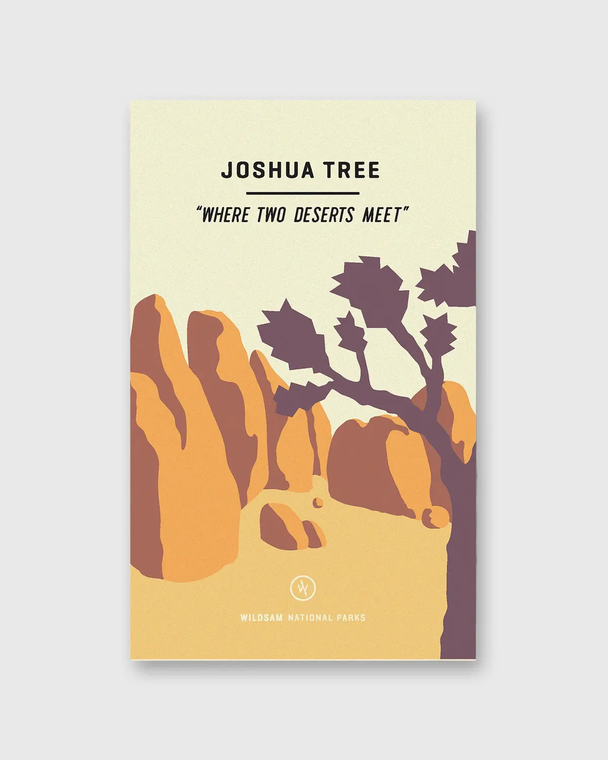 National Parks - Joshua Tree 1