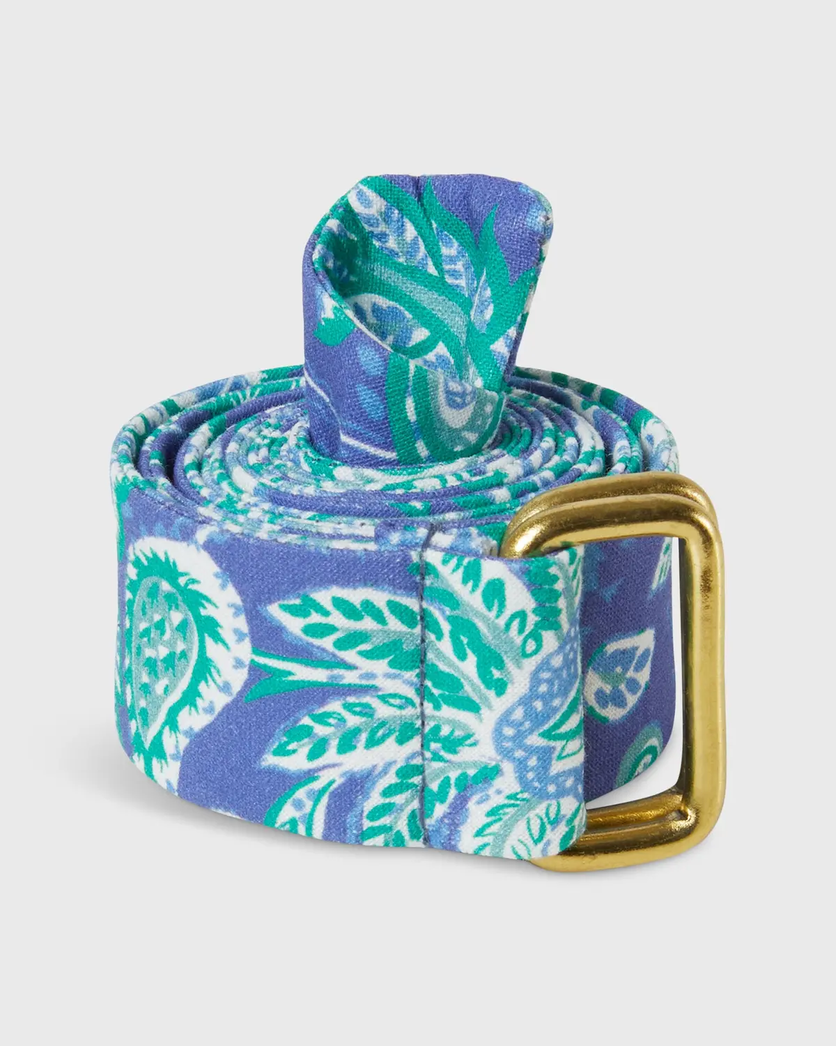 D-Ring Belt In Blue Kiawah Paisley 1